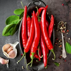 EUROART Glasbild 20 x 20 cm Red Chili Peppers I