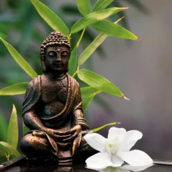 EUROART Glasbild 30 x 30 cm Zen bamboo I