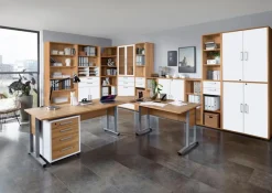 Glastüren-Set Calvia Büroschränke & Regale|Büromöbel-Serien