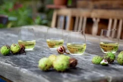 Riedel Gläserset - Riesling O Wine Tumbler 2tlg.