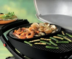 Hot Grillplatte Grillplatte 40 x 22 cm Weber Grills & Grillzubehör