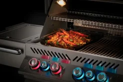 Napoleon Gussplatte Gussplatte Prestige