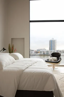 Centa-Star Bettdecken & Kissen|Kopfkissen Famous 80 x 80 cm