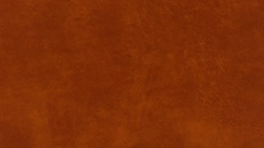 Willi Schillig Kopfstütze 22850 aleXx