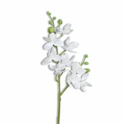 Clearance Kunstblume Mini-Orchidee Phalaenopsis Orchideen