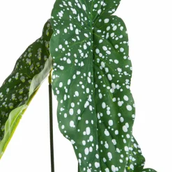 New Kunstpflanze Alocasia Grünpflanzen