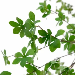 Kave Home Grünpflanzen|Kunstpflanze Enkianthus