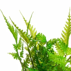 Kunstpflanze Farn
