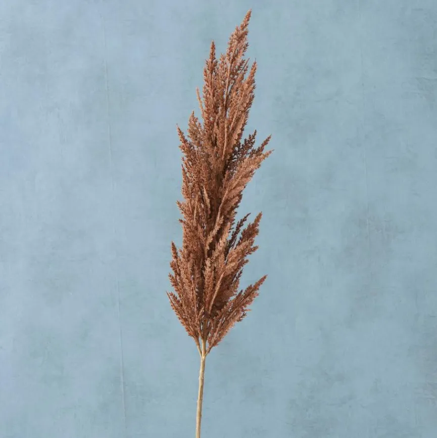 BOLTZE Gräser|Kunstpflanze Pampasgras 117 cm