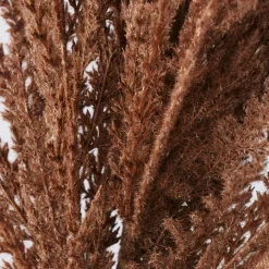 BOLTZE Gräser|Kunstpflanze Pampasgras 117 cm