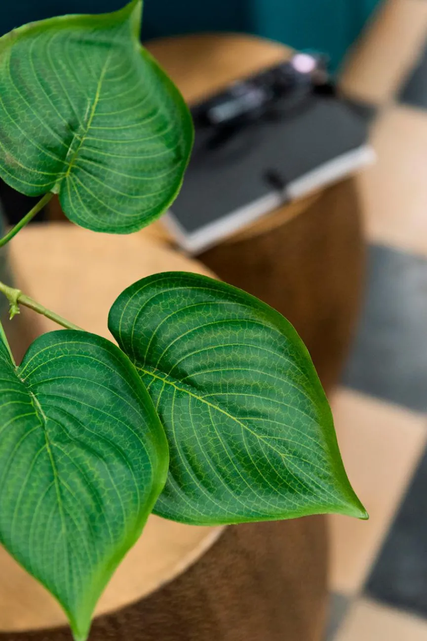 DAHEIM Grünpflanzen|Kunstpflanze Philodendron 76 cm