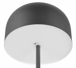 Reality Leuchten Stehlampen|LED-Akkustehlampe Jeff