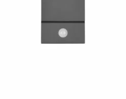 Trio Außenwandleuchten|LED-Außenwandleuchte Avon