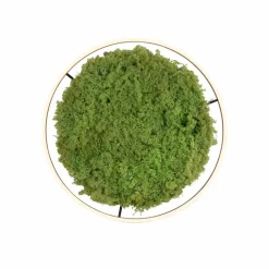 New LED-Deckenleuchte Gerda Ritus Deckenleuchten