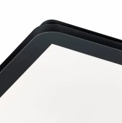 Reality Leuchten Deckenleuchten|LED-Deckenleuchte Camillus