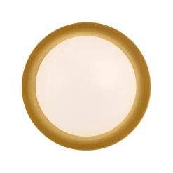 Paul Neuhaus Deckenleuchten|LED-Deckenleuchte Osko