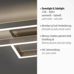 Paul Neuhaus LED-Deckenleuchte Paan