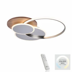 Paul Neuhaus LED-Deckenleuchte Palma