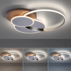 Paul Neuhaus LED-Deckenleuchte Palma