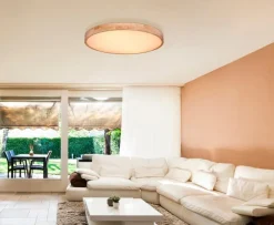 Globo Deckenleuchten|LED-Deckenleuchte Rainer