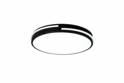 Reality Leuchten Deckenleuchten|LED-Deckenleuchte Tacoma