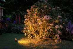 Paulmann LED-Erdspieß Plug&Shine