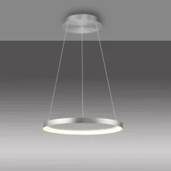Paul Neuhaus LED-Pendelleuchte Hoop
