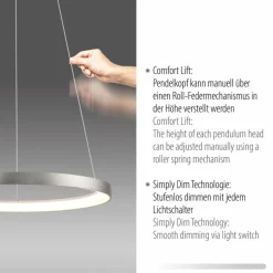 Paul Neuhaus LED-Pendelleuchte Hoop