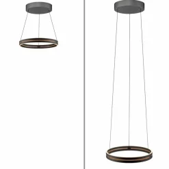 Sale LED-Pendelleuchte Pure E-Loop Pendelleuchten