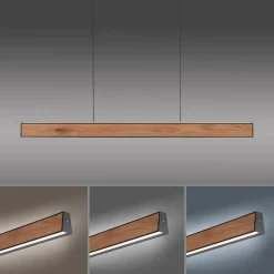 Neuhaus PURE Pendelleuchten|LED-Pendelleuchte Pure-Motion
