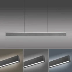 Neuhaus PURE Pendelleuchten|LED-Pendelleuchte Pure-Motion