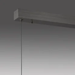 Neuhaus PURE Pendelleuchten|LED-Pendelleuchte Pure-Motion