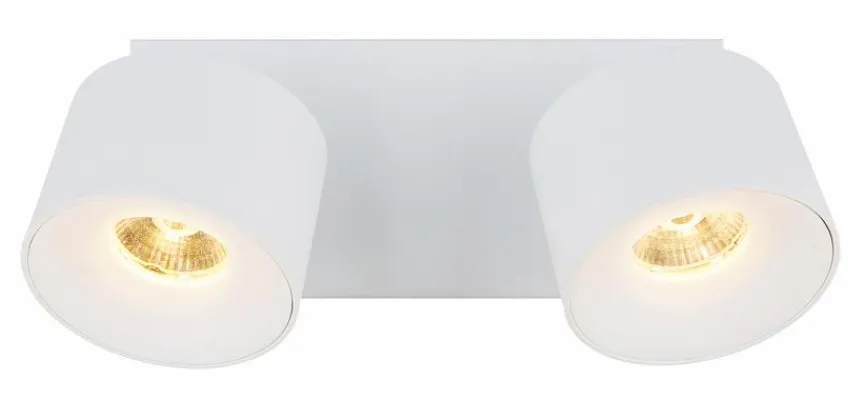 Globo LED-Strahler Rae