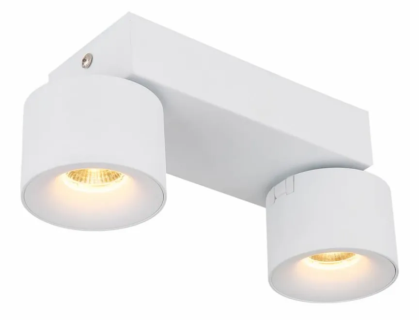 Globo LED-Strahler Rae