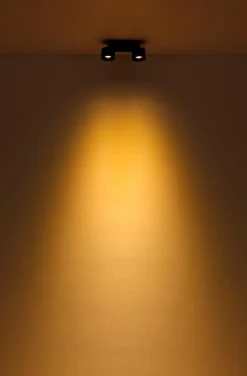 Globo LED-Strahler Rae