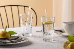 Leonardo Longdrinkglas Optic 540 ml