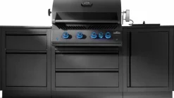 Napoleon Napoleon Grills & Grillzubehör|Gasgrills|Outdoorküche OASIS™ Compact 105