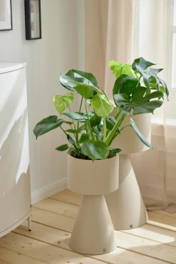 Musterring Pflanzenständer JustB!