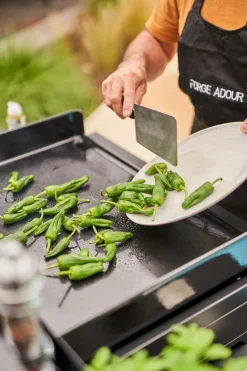 Plancha Premium Gas Plancha 60 Planchagrills