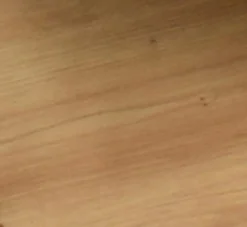 Best Regal Sticks Regale