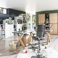 Best Rollcontainer Mister Office Schreibtische|Büromöbel-Serien