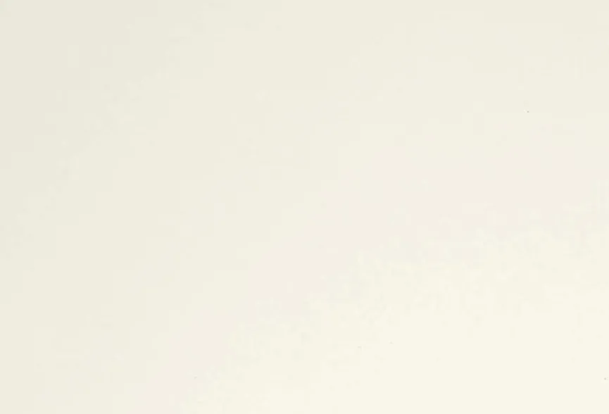 Kinder Paidi Schreibtisch Diego