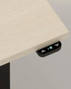 Hot Schreibtisch elektrisch eComo 160 x 80 cm Schreibtische