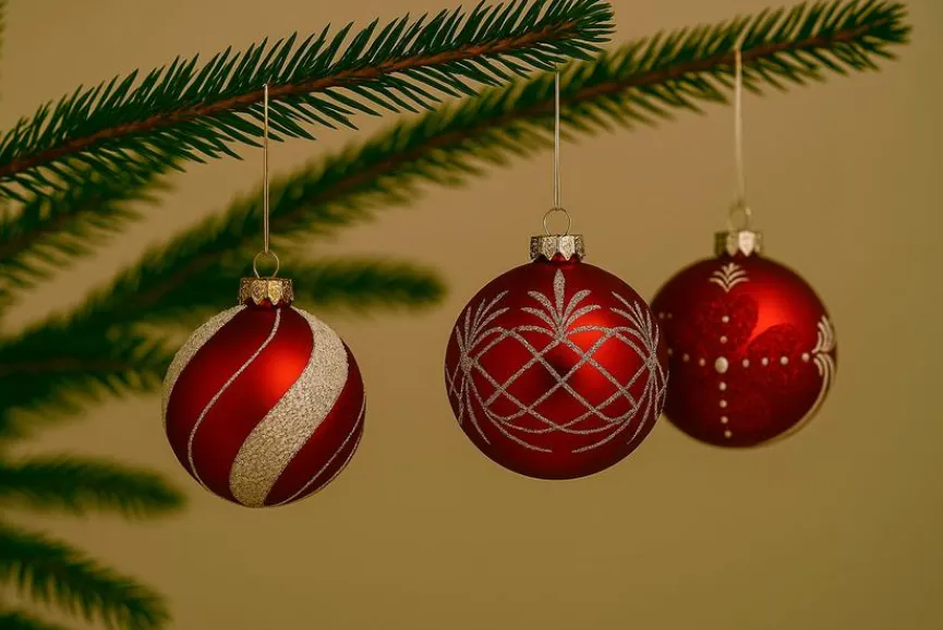 SEGMÜLLER | Möbelhaus & Onlineshop