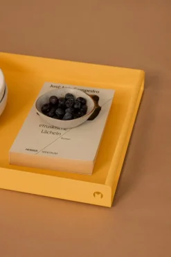 Metallbude Serviertablett Dava