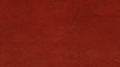 KOINOR Sofas & Couches|Sofa Experio - Free Motion