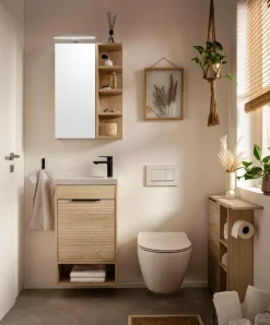 Schildmeyer Spiegeltürenschrank Mads