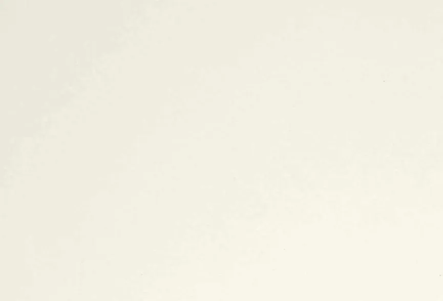 Kinder Paidi Spielbett Tiago 90 x 200 cm