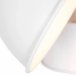 Steinhauer Spots & Strahle|Strahler Gearwood