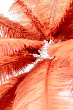 Sale Tischleuchte Feather Palm Tischlampen